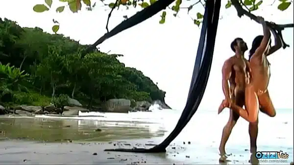 the attractive brunette loves having anal sex on the beach with her naughty partner