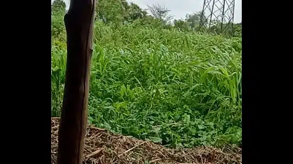 jio