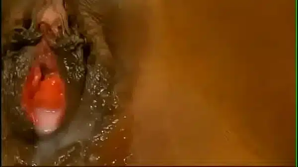 the best amateur porn on the planet king of amateur porn 1