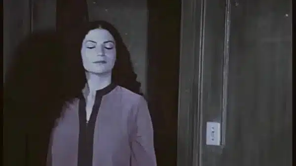 two centuries of retro porn 1850 vs 1950